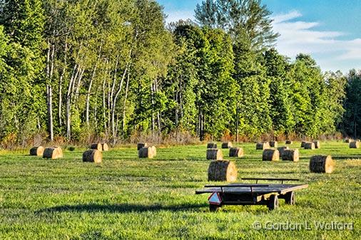 Field Of Bales_01461.jpg - Photographed near Eastons Corners, Ontario, Canada.